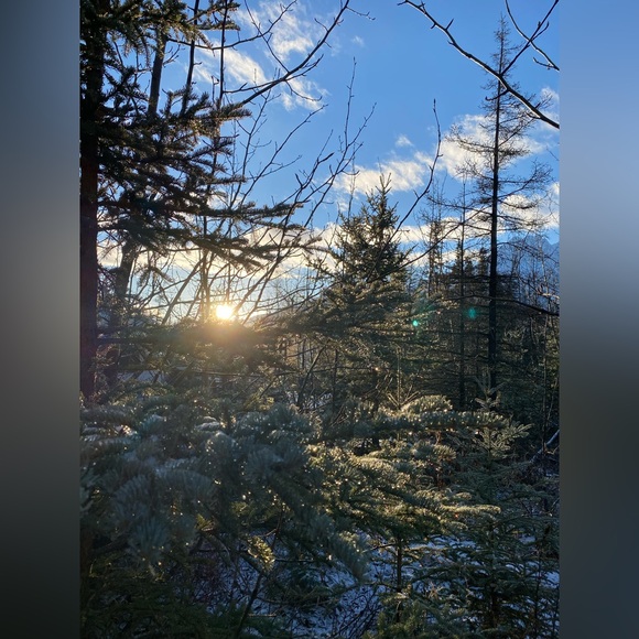 Alaska - Picture 8 of 14